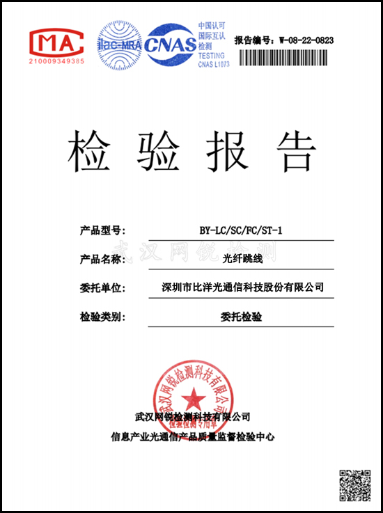 Test Report